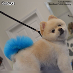 Dog Hair Dye-Innocent Blue (PD05)