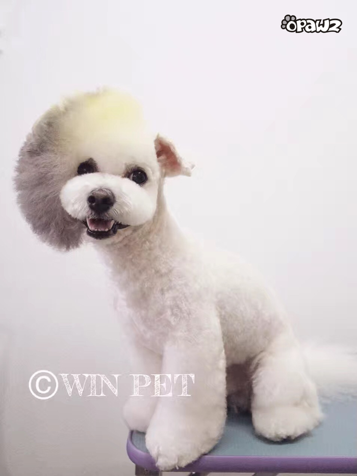 Pet Hair Chalk - Grey (TC11)