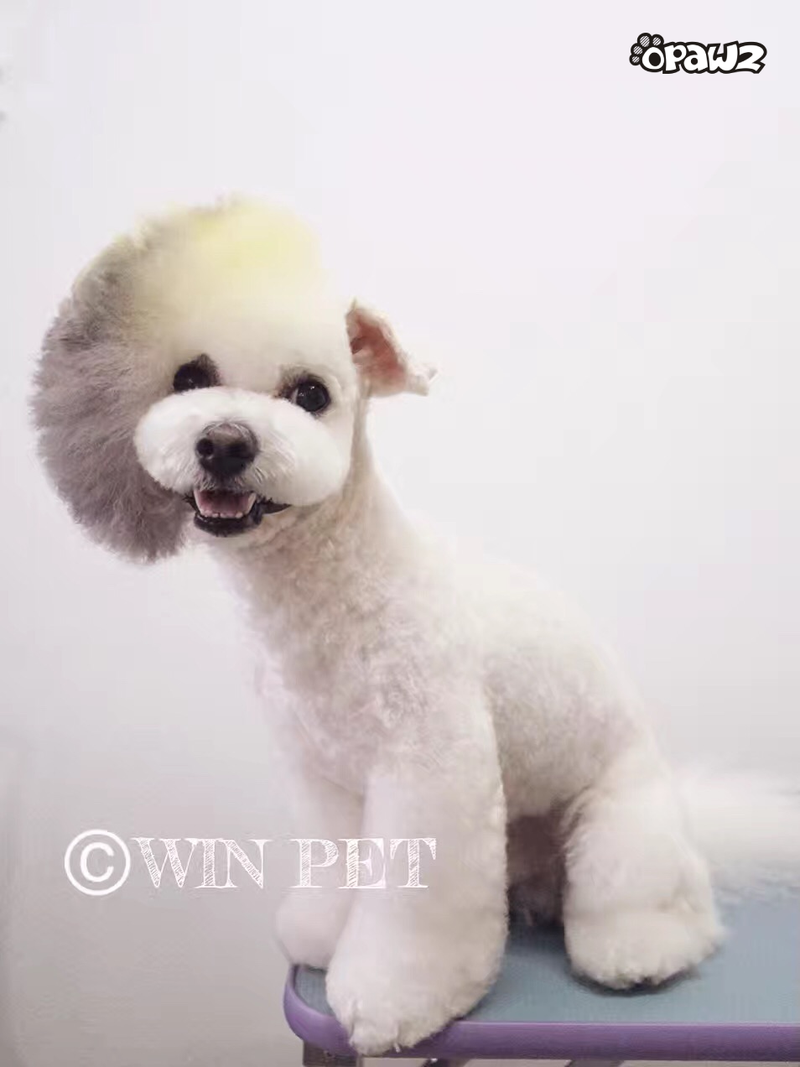 Pet Hair Chalk - Grey (TC11)