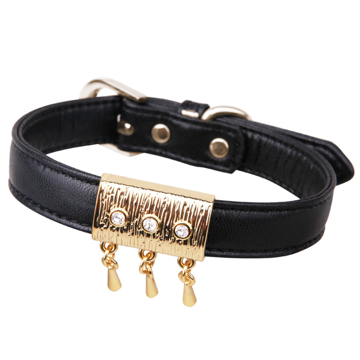 OPAWZ dog collar
