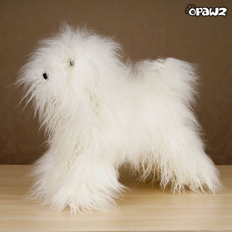 OPAWZ Toy Poodle Modelo Perro con Peluca de Alta Densidad Paquete Económico (VP19)