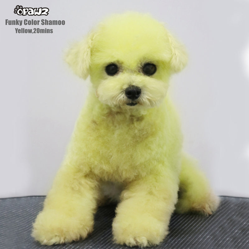OPAWZ Funky Color Shampoo - Yellow - 500ml (FC07)