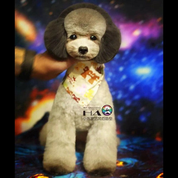 OPAWZ Pet Chalk Temporary Color Black - Main Image