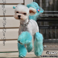 Dog Hair Dye - Innocent Blue (PD05)