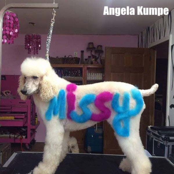 If You're Gonna Dye Your Pet's Fur a Funky Shade, at Least Do It