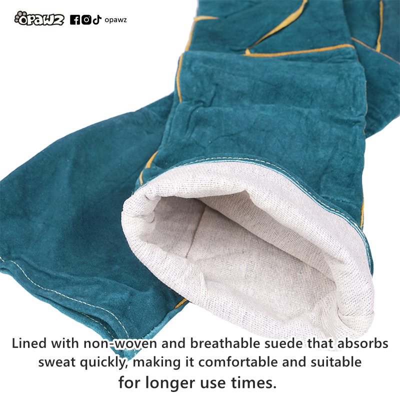 OPAWZ Gants de toilettage professionnels pour chats (GT26)