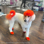 Dog Hair Dye-Flame Orange (PD18)