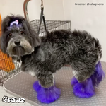 Dog Hair Dye - Indigo Purple (PD06)