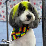 Dog Hair Dye - Tender Green (PD10)