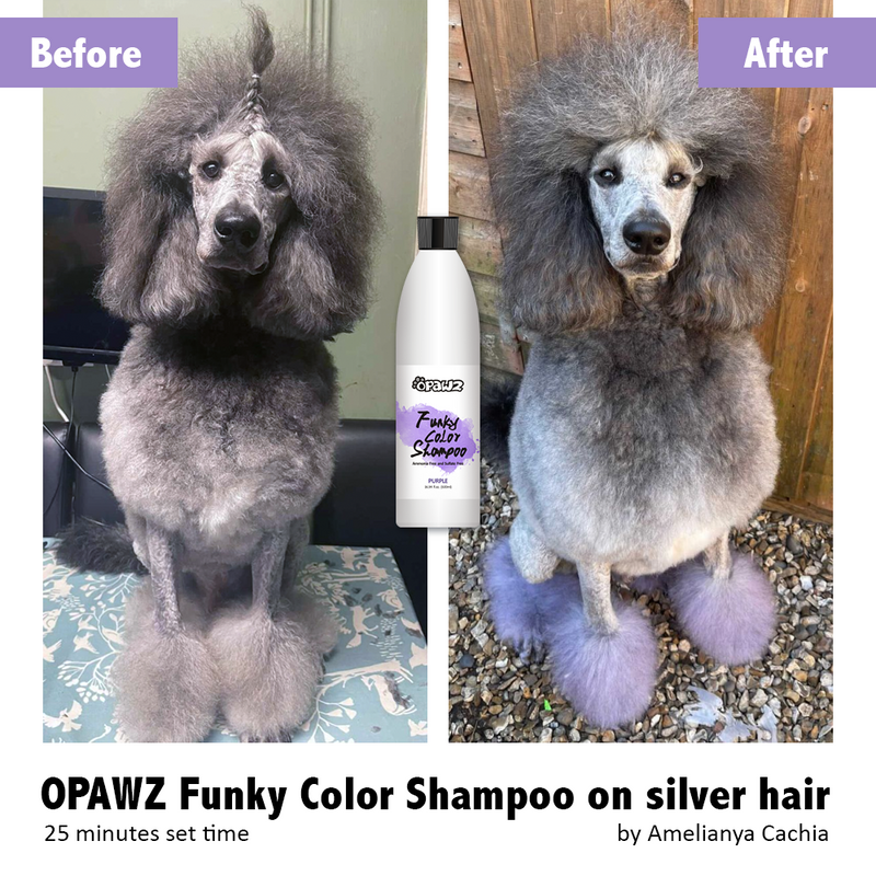 OPAWZ Shampoing Funky Color - Violet - 500 ml (FC05)