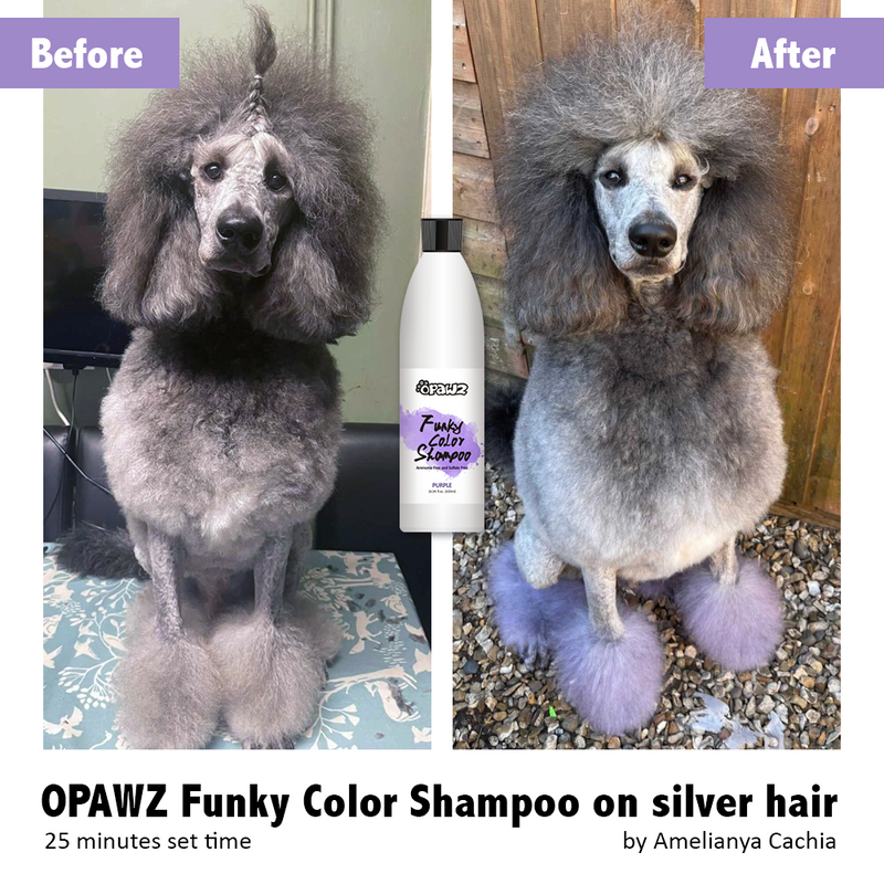 Purple shampoo for deals dogs