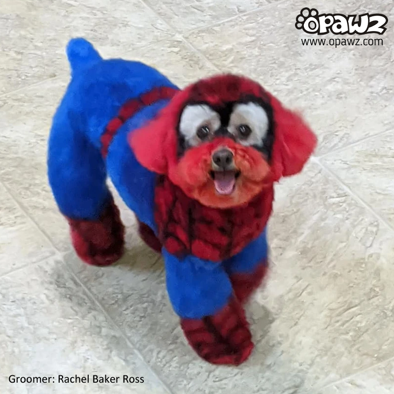 Cobalt Blue Dog Hair Dye by OPAWZ Lasts 20 Washes