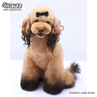 Pet Hair Chalk - Black (TC06)