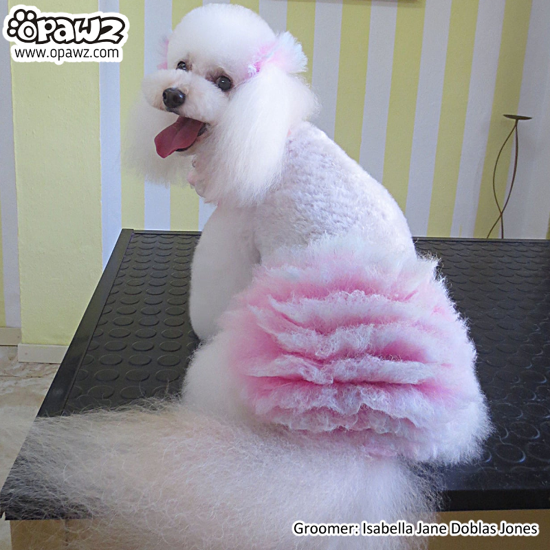 Pelo de mascota tiza-rosa (TC01)