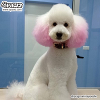 Pet Hair Chalk - Pink (TC01)