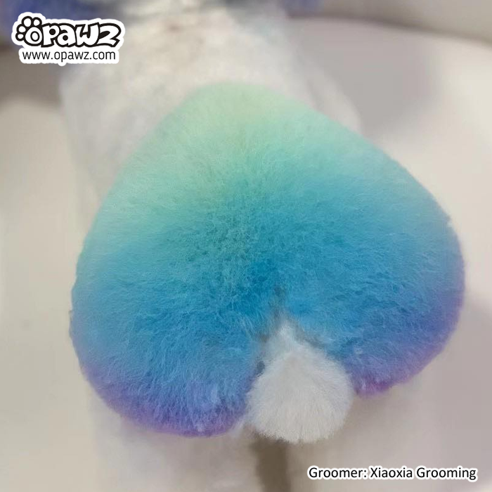 Pet Hair Chalk - Blue (TC02)