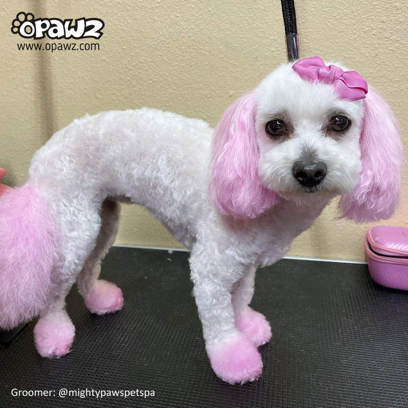 OPAWZ Permanent Pet Hair Dye in Charm Pink | Ryan's Pet Grooming Supplies