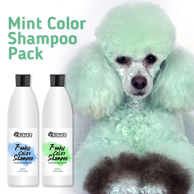 Mint Color Shampoo Pack (VP65)