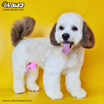 Tinte de pelo para perros-Marrón leal (PD08)