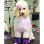 Dog Hair Dye - Chic Violet (PD28)