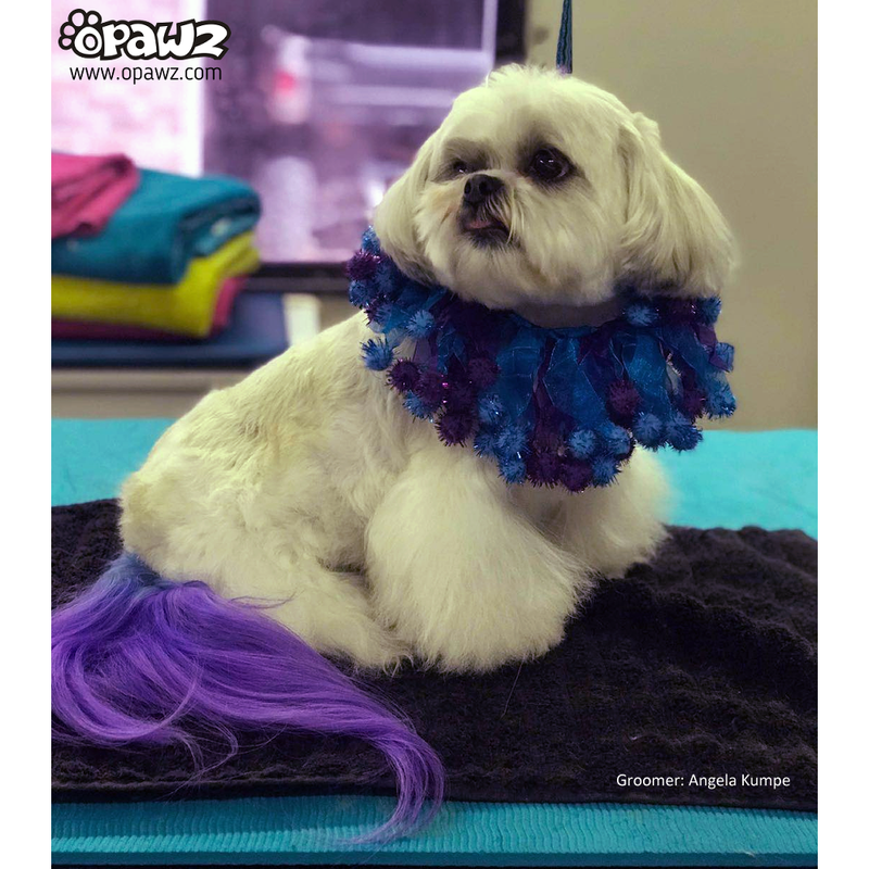 Dog Hair Dye - Chic Violet (PD28)