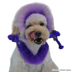 Teinture pour poils de chien - Violet indigo (PD06)