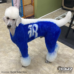 Tinte para pelo de perro-Azul cobalto (PD11)