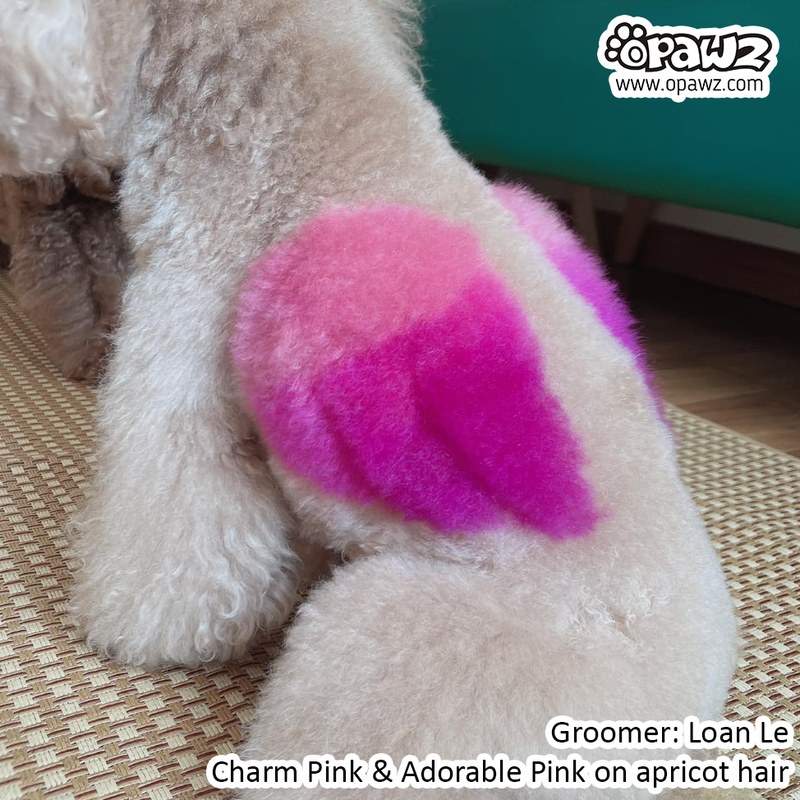 Dog Hair Dye - Charm Pink (PD17)