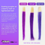 Dog Hair Dye - Chic Violet (PD28)