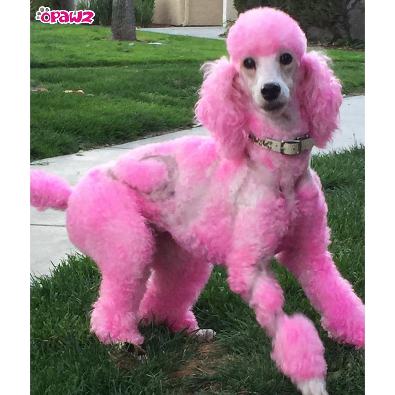 Dog Hair Dye - Charm Pink (PD17)