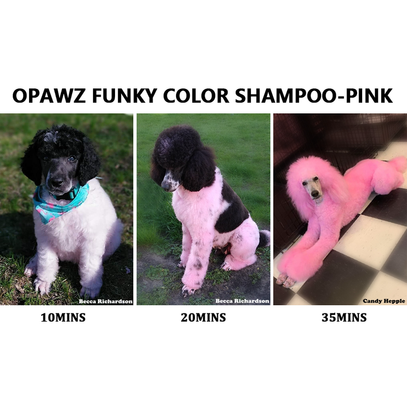 OPAWZ Funky Color Champú - Rosa - 500ml (FC03)