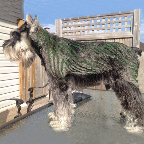 Pet Hair Chalk - Green (TC05)