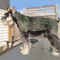 Pet Hair Chalk - Green (TC05)