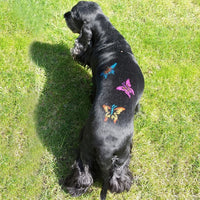 Pet Hair Chalk - Yellow (TC08)