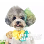Pet Hair Chalk - Green (TC05)