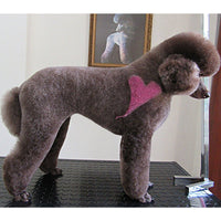 Pet Hair Chalk - Pink (TC01)