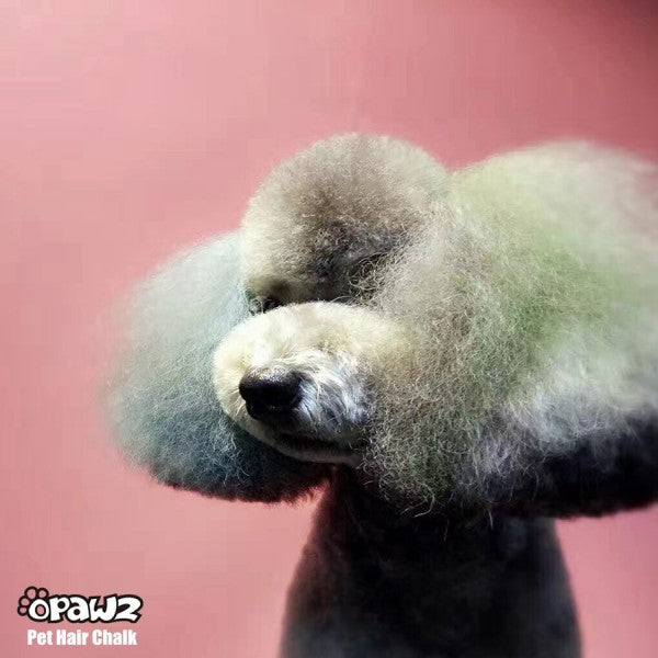 Pet Hair Chalk - Green (TC05)