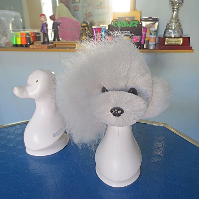 Cabeza de perro modelo Teddybear con pelucas de 4 colores, paquete económico (VP24)