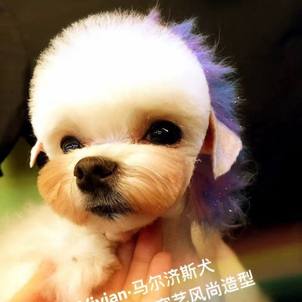 Pet Hair Chalk - Purple (TC04)