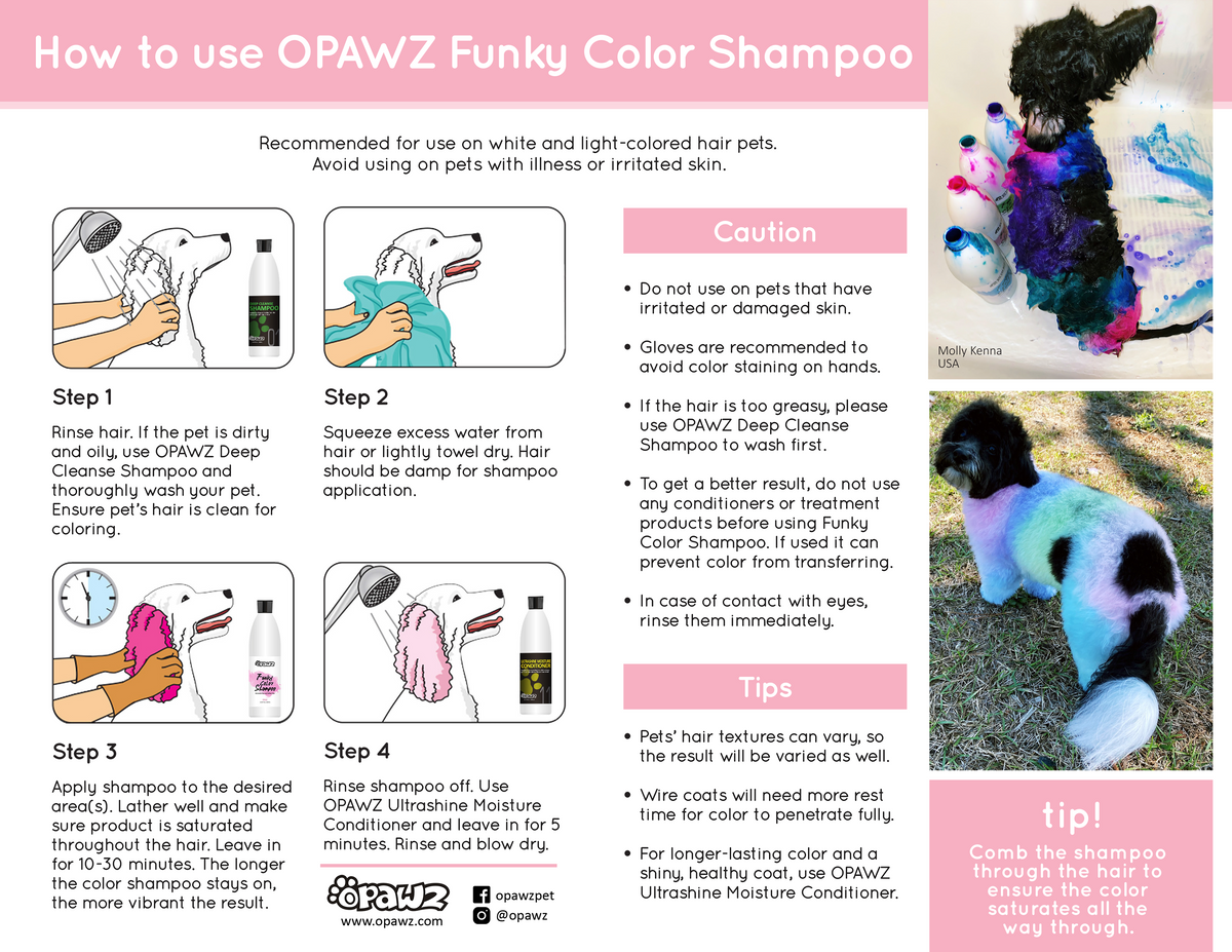 FREE Digital Download - OPAWZ Informational Posters & Resources