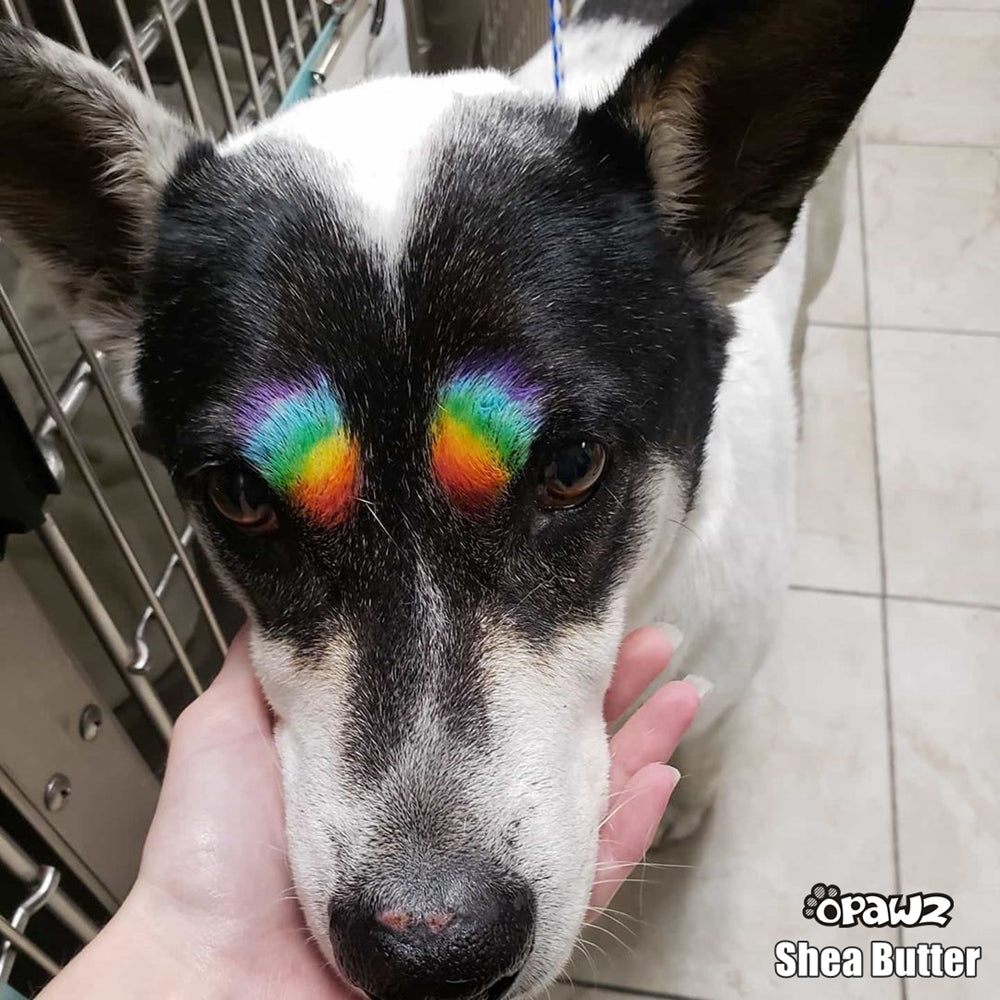 Green Pet Paint Pen - Temporarily Pet Color - Safe and Non-Toxic