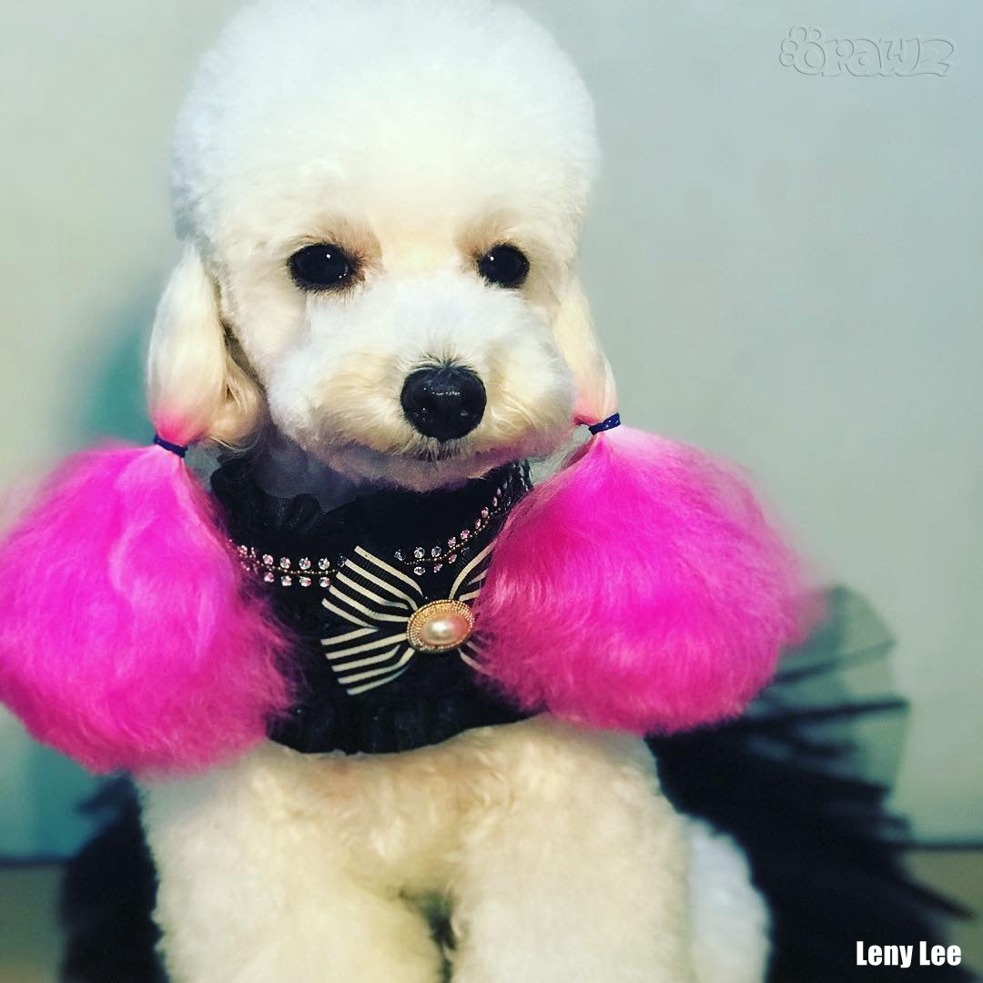 OPAWZ Semi-Permanent Dog Hair Dye - Shocking Pink