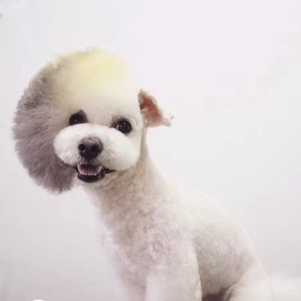 Pet Hair Chalk - Black (TC06)