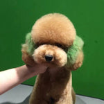 Tiza para pelo de mascotas, verde (TC05)