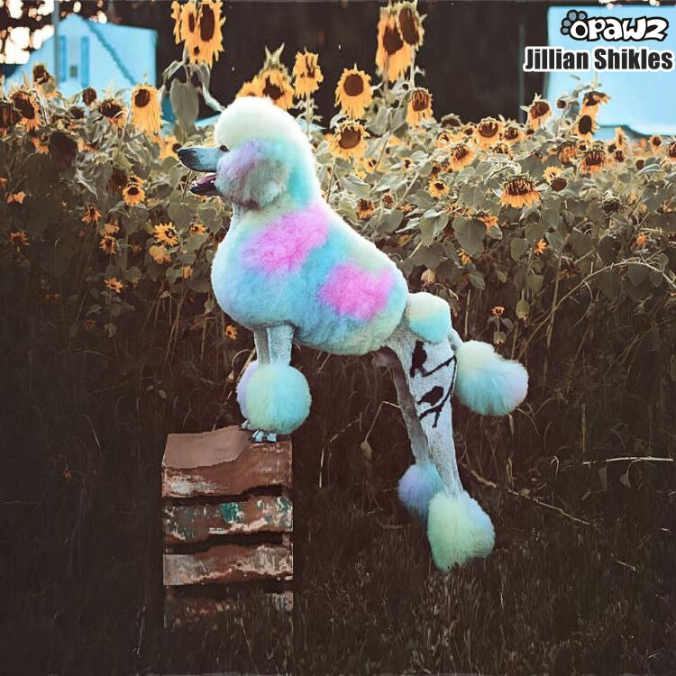 Color Shampoo 7pcs Value Pack (VP39) – OPAWZ