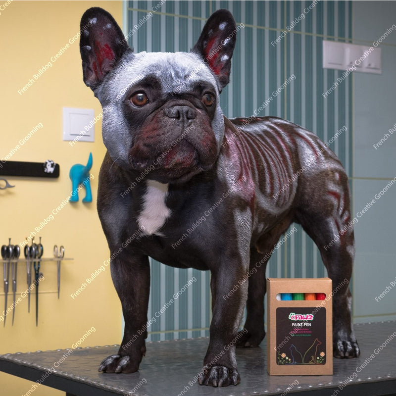 White Pet Paint Pen Temporarily Pet Color Safe and Non-Toxic