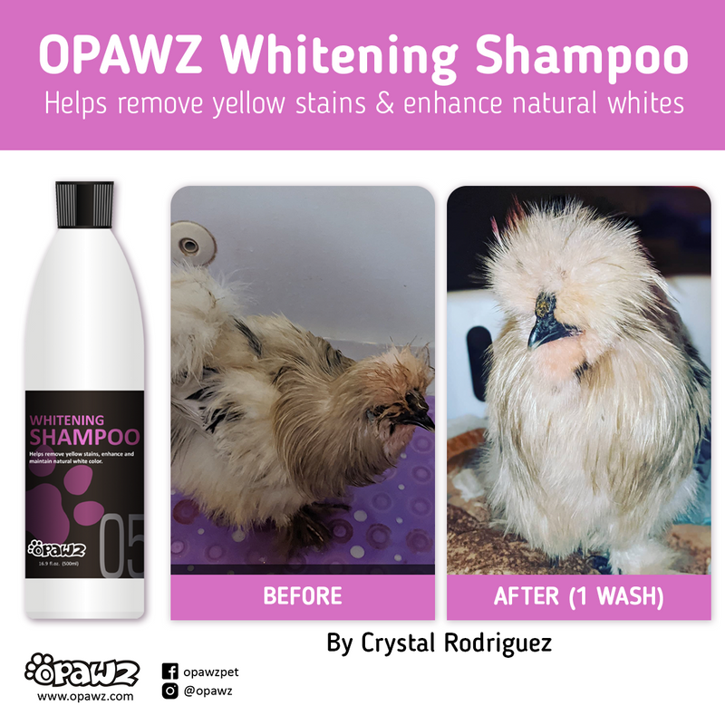 OPAWZ 05 Shampoing Blanchissant