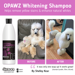 OPAWZ 05 Shampoing Blanchissant