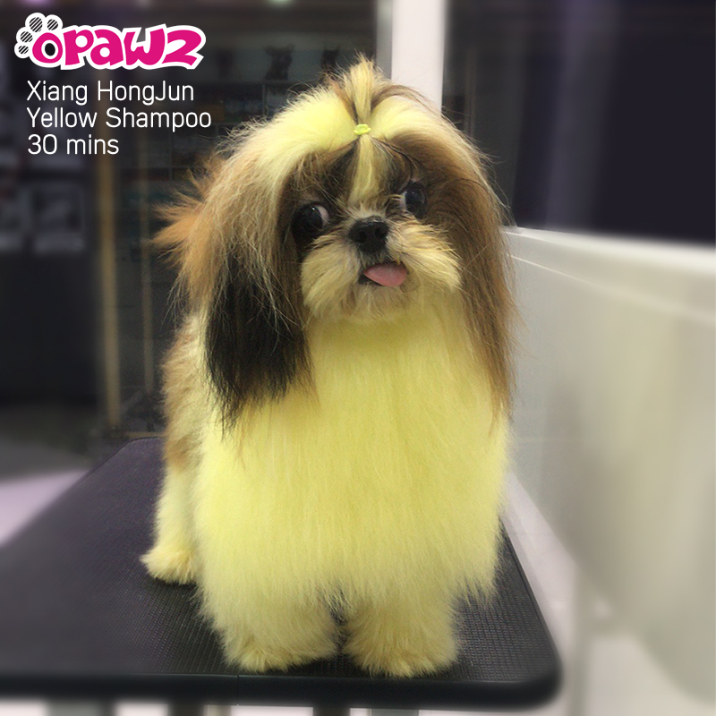 OPAWZ Pet Color Shampoo Yellow