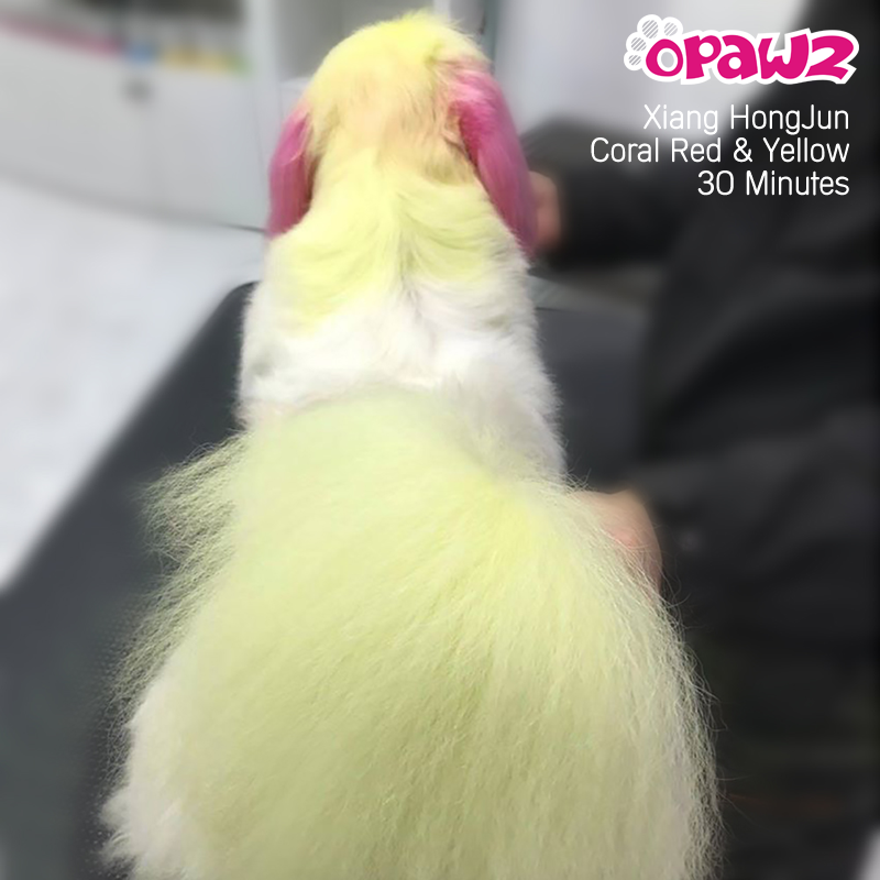 OPAWZ Funky Color Shampoo - Yellow - 500ml (FC07)